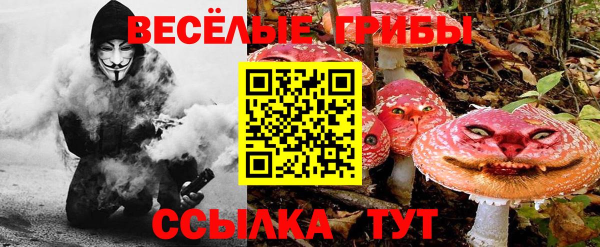 Будённовск  Галлюциногенные грибы Magic Shrooms  Псилоцибиновые грибы Magic Shrooms  Вход с VPN 